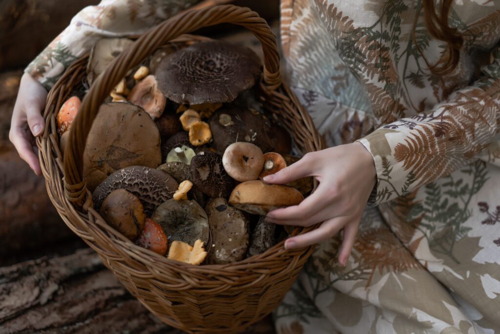 Preserving Magic Mushrooms