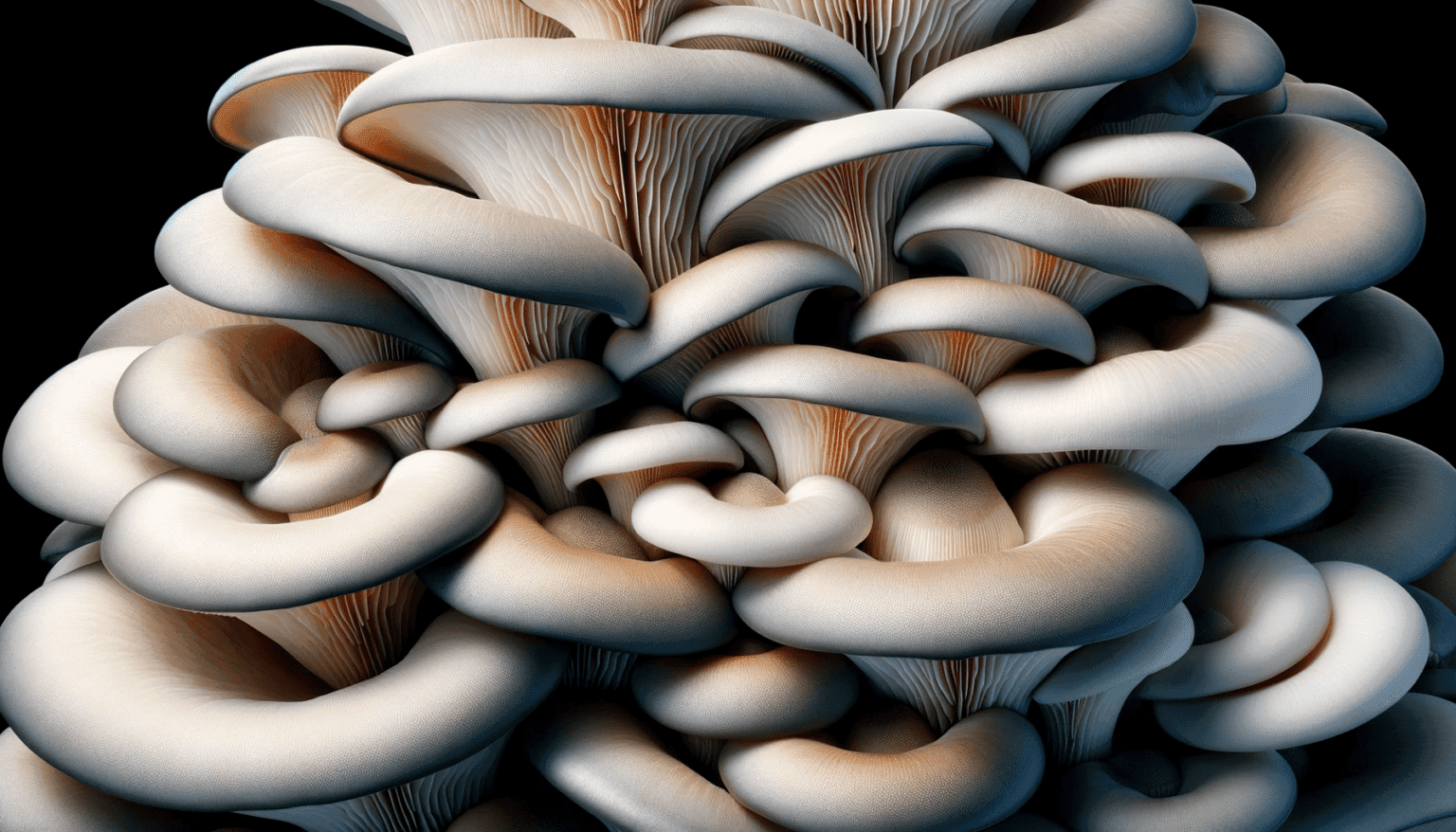 Diabetes Management: How Mushrooms Can Help Balance Blood Sugar