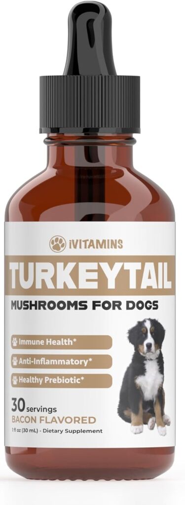 Turkey Tail Mushroom for Dogs