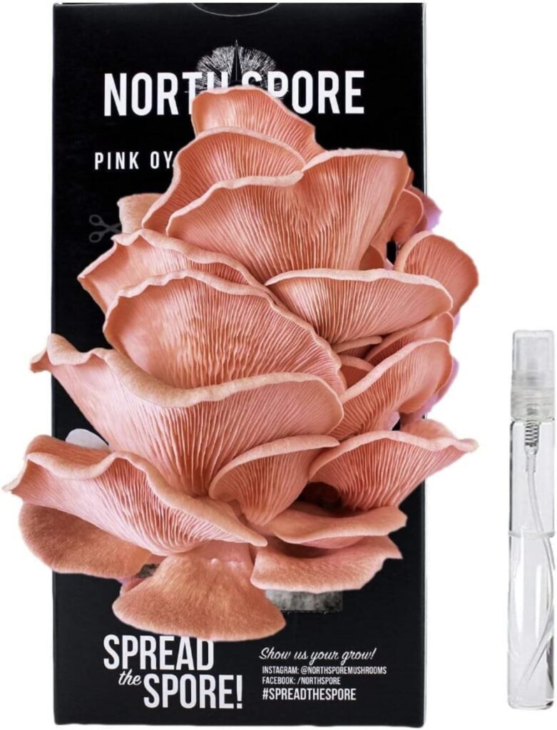 North Spore Organic Pink Oyster Mushroom Spray & Grow Kit